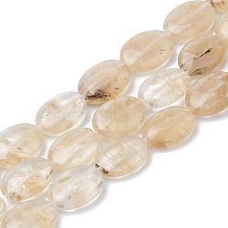 Coffee Watermelon Stone Glass Beads Strands, Oval, 18~18.5x13x6mm, Hole: 1mm, about 22pcs/strand, 15.7 inch(G-S292-35)