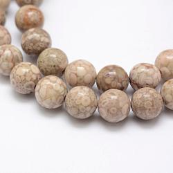 Natural Fossil Coral Beads Strands, Round, 8mm, Hole: 1mm, about 48pcs/strand, 15.3 inch(39cm)(G-P325-01-8mm)