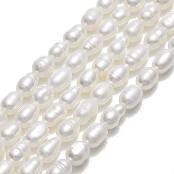 Natural Cultured Freshwater Pearl Beads Strands, Rice, Linen, 5.5~7.5x3.8~4.2mm, Hole: 0.6mm, about 58~60pcs/strand, 13.98''~14.17"(35.5~36cm)
