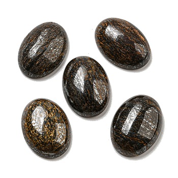 Natural Bronzite Cabochons, Oval, 18x13x5~5.5mm