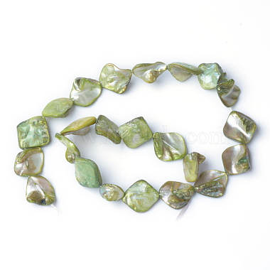 21mm Green Others Other Sea Shell Beads