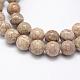 Natural Fossil Coral Beads Strands(G-P325-01-8mm)-1