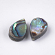 Abalone Shell/Paua Shell Beads(SSHEL-T008-08)-2
