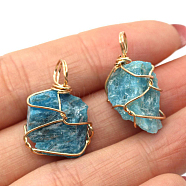 Raw Rough Natural Apatite Pendants, Nuggets Charms with Golden Plated Copper Wire Wrapped, 18~30x12~22mm(FIND-PW0020-04F)