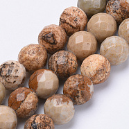 Natural Picture Jasper Beads Strands, Faceted, Round, 8mm, Hole: 1.2mm, about 45pcs/strand, 15.3 inch(X-G-S281-01-8mm)