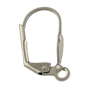 Tarnish Resistant 304 Stainless Steel Leverback Earring Findings, with Loop, Stainless Steel Color, 20x10x4.5mm, Hole: 2mm