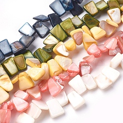 Freshwater Shell Beads Strands, Dyed, Nuggets Chips, Mixed Color, 12~14.5x6~16x3~8mm, Hole: 0.5mm, about 42~56pcs/strand, 14.4~14.8 inch(36.5~37.5cm)(BSHE-O017-04)