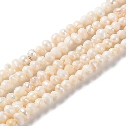 Natural Cultured Freshwater Pearl Beads Strands, Potato, Grade B, PapayaWhip, 2~4x2~3mm, Hole: 0.5mm, about 124pcs/strand, 13.78 inch(35cm)(PEAR-E018-46)
