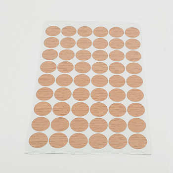 PVC Stickers, Screw Hole Covered Stickers, Round, Dark Salmon, 202x146x0.4mm, Stickers: 20mm, 54pcs/sheet
