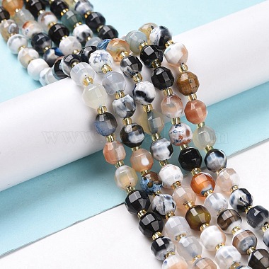 Natural Fire Agate Beads Strands(G-I338-03)-2