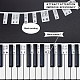 силиконовые съемные направляющие для фортепианной клавиатуры(DIY-WH0292-81B)-4