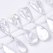 Spray Painted Natural Freshwater Shell Beads Strands, Top Drilled Beads, Teardrop, White, 24~40x10~20x7~12mm, Hole: 0.8mm, about 15pcs/Strand, 12.99 inch~13.77 inch(33~35cm)(SHEL-S276-69C)