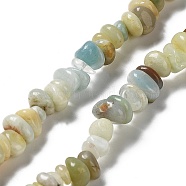 Natural Flower Amazonite Beads Strands, Chip, 2.5~7x6~14x5~8mm, Hole: 0.8mm, 31.10~31.89''(79~81cm)(G-M205-91)