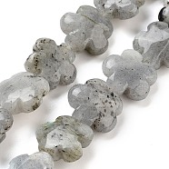 Natural Labradorite Beads Strands, Flower, 16x16x6mm, Hole: 1.4mm, about 25pcs/strand, 14.57~14.96 inch(37~38cm)(G-F769-P01-01)