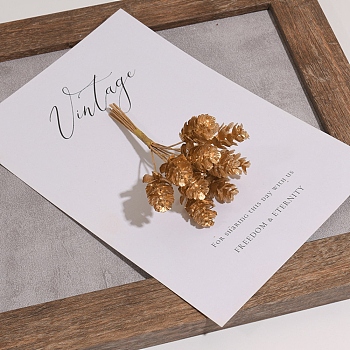 Plastic Artificial Christmas Pine Nut, for Christmas Tree, Greeting Card, Gift Box Decoration, Gold, 110x60mm