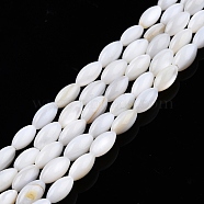 Natural Freshwater Shell Beads Strands, Rice, 7.5x4mm, Hole: 0.8mm, about 51~52pcs/strand, 14.96 inch~15.16 inch(38~38.5cm)(X-SHEL-N026-212-A01)