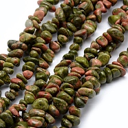 Natural Unakite Beads Strands, Chip, 5~8mm, Hole: 1mm, about 33 inch(84cm)(G-P332-33)