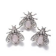 Natural Rose Quartz Brooches, with Brass Findings, Cicada, Antique Silver, 38x36x8mm, Pin: 0.6mm(G-A176-D09)
