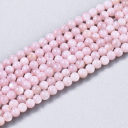 Natural Freshwater Shell Beads Strands, Dyed, Round, Pink, 2.5mm, Hole: 0.7mm, about 150~190pcs/Strand, 14.96 inch~15.75 inch(X-BSHE-T009-01D)