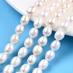 Natural Cultured Freshwater Pearl Beads Strands, Rice, Seashell Color, 7~9x6.5~7.5mm, Hole: 0.7~0.8mm, about 43~44pcs/strand, 14.37 inch(36.5cm)(PEAR-N012-07K)