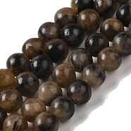Natural Chiastolite Beads Strands, Round, 6mm, Hole: 1mm, about 71pcs/strand, 16.06''(40.8cm)(G-Q161-A03-02)