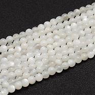 Natural White Moonstone Beads Strands, Grade A, Round, White, 6mm, Hole: 0.8mm, about 61pcs/strand(G-F306-05A-6mm)