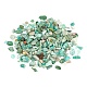 Natural Amazonite Chip Beads(G-FS0001-16)-2