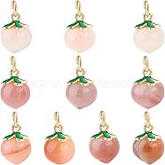 PandaHall Elite Natural Agate Charms, with Golden Tone Brass Findings & Green Enamel, Peach, Pale Violet Red, 14x10mm, Hole: 3.4mm, 10pcs/box(G-PH0001-86)