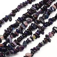 Chips Natural Sugilite Beads Strands, 3~8x3~12x3~5mm, Hole: 1mm, about 16 inch(X-G-N0164-28)