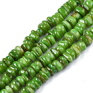 Natural Trochid Shell/Trochus Shell Beads Strands, Dyed, Flat Round, Lime Green, 5~10x1~7mm, Hole: 1mm, about 94pcs/strand, 14.96''(38cm)(SHEL-S258-081-B05)