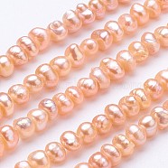 Natural Cultured Freshwater Pearl Beads Strands, Potato, Light Salmon, 4~5x4~4.5x4.5~5mm, Hole: 0.7mm, about 78~81pcs/strand, 13.6 inch(PEAR-F004-25-01)