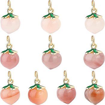 PandaHall Elite Natural Agate Charms, with Golden Tone Brass Findings & Green Enamel, Peach, Pale Violet Red, 14x10mm, Hole: 3.4mm, 10pcs/box