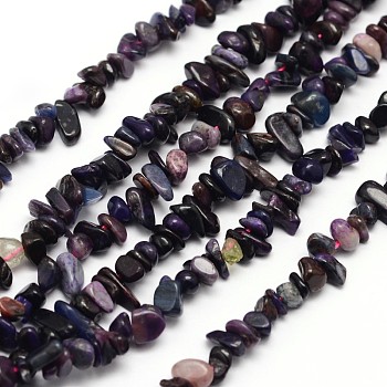Chips Natural Sugilite Beads Strands, 3~8x3~12x3~5mm, Hole: 1mm, about 16 inch