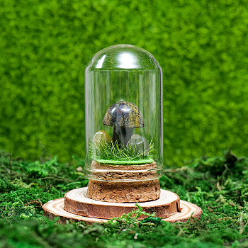Glass Dome Cover with Natural Dragon Blood Mushroom Inside, Cloche Bell Jar Terrarium with Cork Base, Micro Landscape Garden Decoration Accessories, 30x55mm