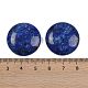 cabochons en sodalite naturelle(G-H1596-FR-25mm-12)-3