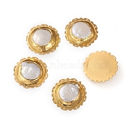 Electroplated Pearl Multi-Strand Links, with Brass Findings, Flat Round, Golden, 32x7.5mm, Hole: 1mm(PEAR-G009-04G)
