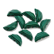 Natural Malachite Butterfly Wing Cabochons, Faceted, 15x6.5~7x4~4.5mm(G-D078-02B)