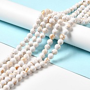 Synthetic Turquoise and Sea Shell Assembled Beads Strands, Dyed, Round, Creamy White, 10mm, Hole: 1.2mm, about 40pcs/strand, 15.55''(39.5cm)(G-D482-01D-05)