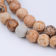 Natural Picture Jasper Beads Strands, Round, 6~6.5mm, Hole: 1mm, about 63pcs/strand, 15.5 inch(X-G-Q462-6mm-35)