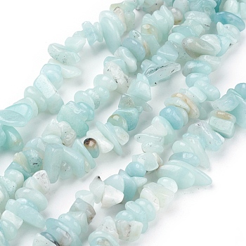 Natural Amazonite Beads Strands, Chips, Sky Blue, 4~11x3~8x2~10mm, Hole: 1mm, about 32~34 inch.