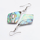 Abalone Shell/Paua Shell Dangle Earrings(EJEW-F147-E08)-2