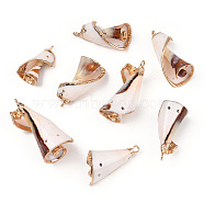 Electroplate Spiral Shell Pendants, with Iron Findings, Light Gold, Seashell Color, 25~31x12~19x14~18mm, Hole: 2mm(SSHEL-S262-11)