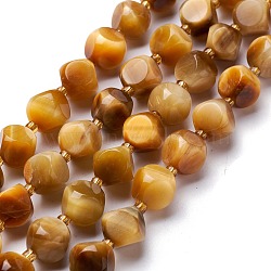 Natural Tiger Eye Beads Strand, with Seed Beads, Six Sided Celestial Dice, 10~10.5x10~10.5x10~10.5mm, Hole: 0.5mm, about 16pcs/strand, 7.97''(20.25cm)(G-M367-45A)