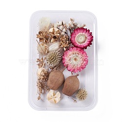 Dried Flowers, DIY Candle Soap Making Accessories, with Plastic Rectangle Box, Medium Violet Red, 2.4~12x1.9~4.3cm(DIY-D052-02)