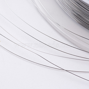 Steel Wire(TWIR-E001-0.1mm)-3