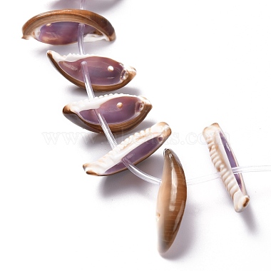 Natural Freshwater Shell Beads Strands(SHEL-C001-03)-3