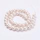 Wrinkle Textured Shell Pearl Beads Strands(BSHE-E016-8mm-07)-2