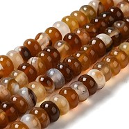 Natural Agate Beads Strands, Dyed & Heated, Rondelle, Saddle Brown, 8~8.5x4.5~5.5mm, Hole: 1.4mm, about 41pcs/strand, 7.40~7.48''(18.8~19cm)(G-H295-C03-09)