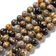 Natural Bumblebee Jasper Beads Strands, Round, 12mm, Hole: 1.2mm, about 34pcs/strand, 15.94''(40.5cm)(G-F691-02D)
