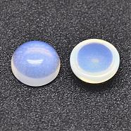 Opalite Cabochons, Half Round/Dome, 10x5mm(G-P215-01-10mm)